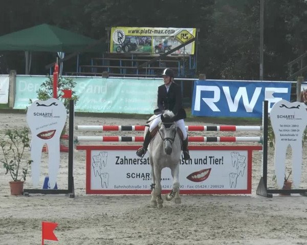 Bad Rothenfelder Reitertage 2014