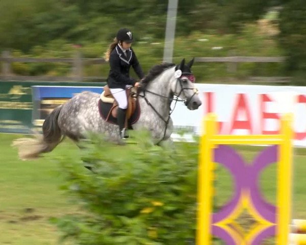 Reitertage Holdorf 2014
