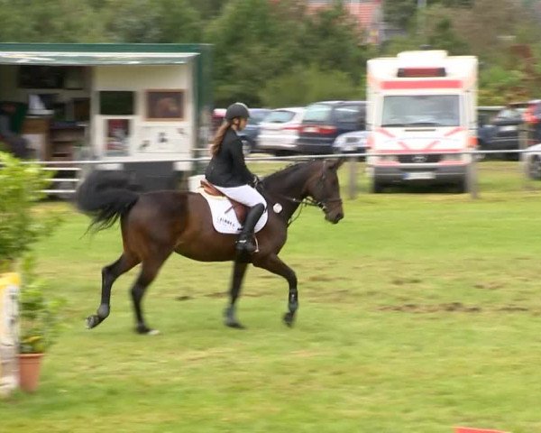 Reitertage Holdorf 2014