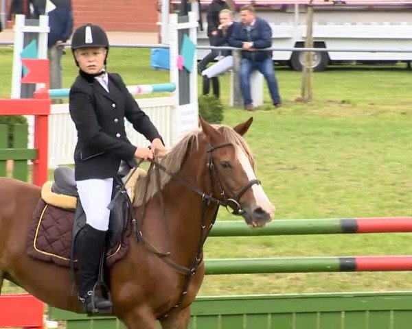 Reitertage Holdorf 2014