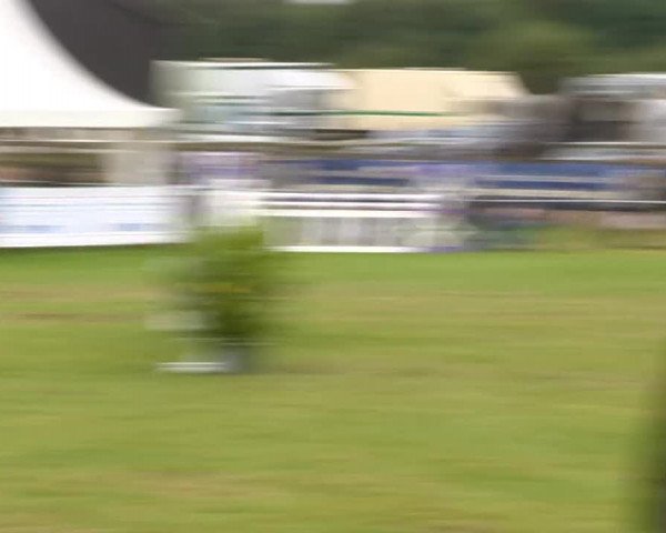 Reitertage Holdorf 2014
