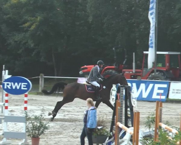 Bad Rothenfelder Reitertage 2014