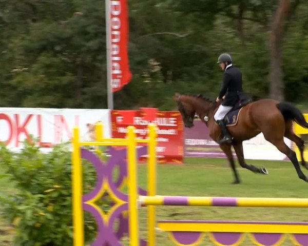 Reitertage Holdorf 2014