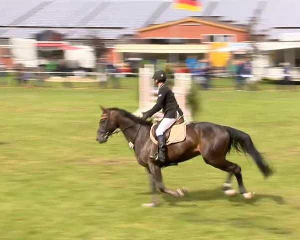 Reitertage Holdorf 2014