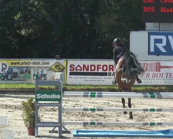Bad Rothenfelder Reitertage 2014