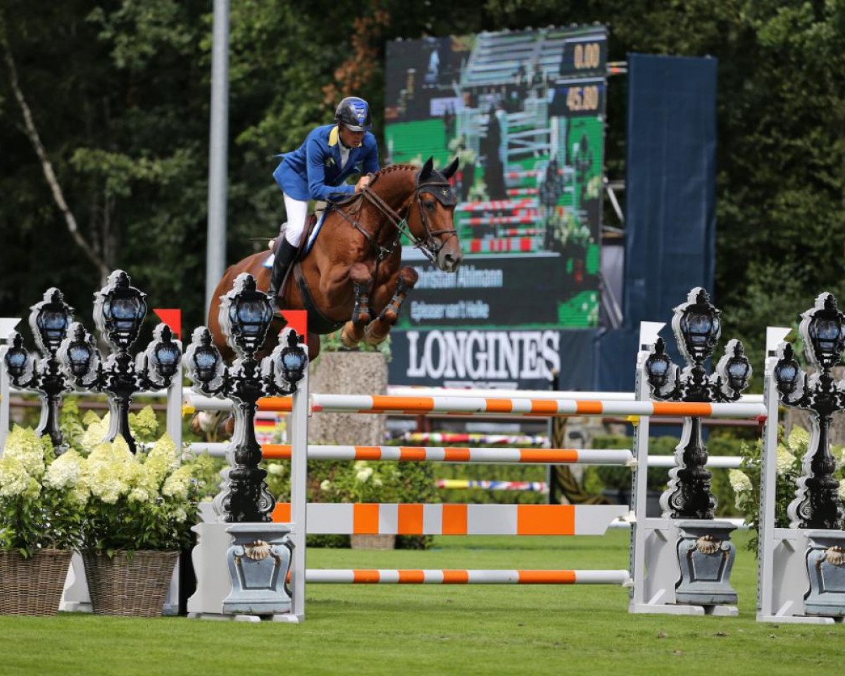 Deckhengst Epleaser van het Heike (Belgisches Warmblut, 2004, von For Pleasure)