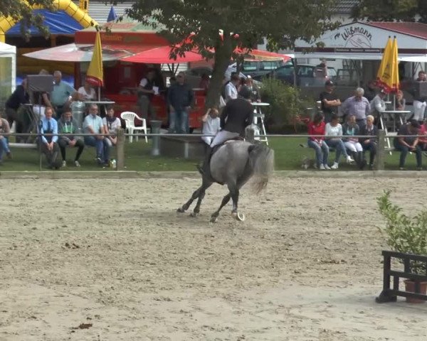 Bad Rothenfelder Reitertage 2014