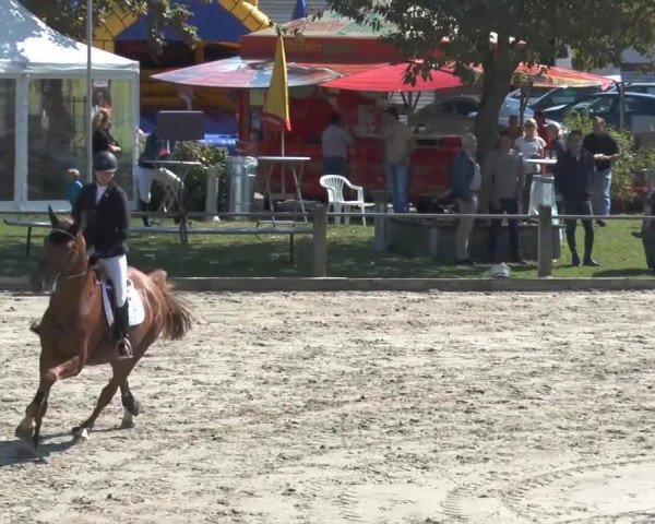 Bad Rothenfelder Reitertage 2014