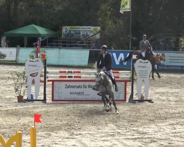Bad Rothenfelder Reitertage 2014