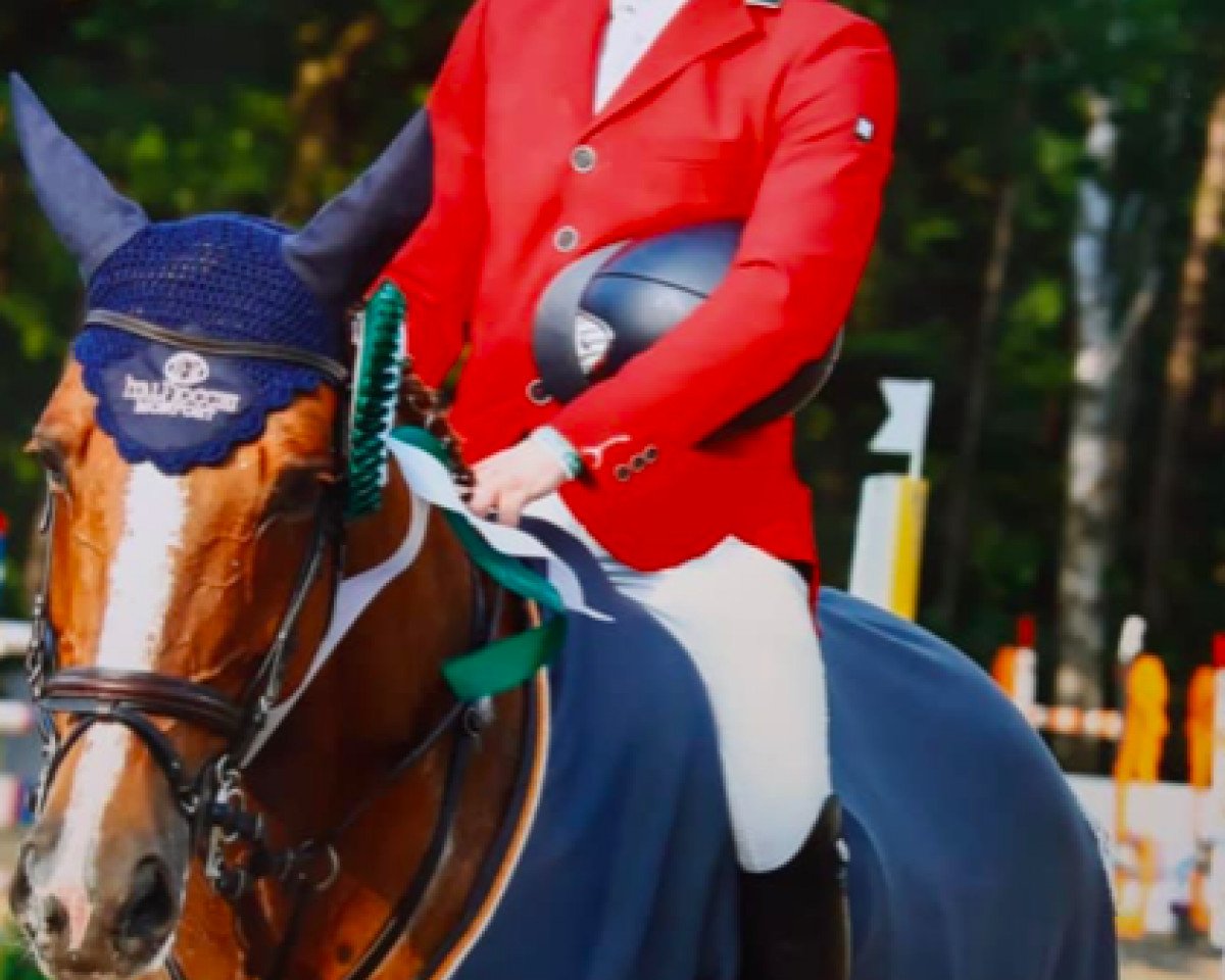 Springpferd Renata du Theil (Selle Français, 2005, von Quidam de Revel)