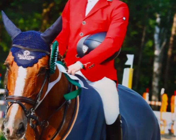 jumper Renata du Theil (Selle Français, 2005, from Quidam de Revel)