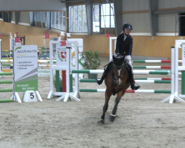 Reitturnier Münster-Amelsbüren 2025