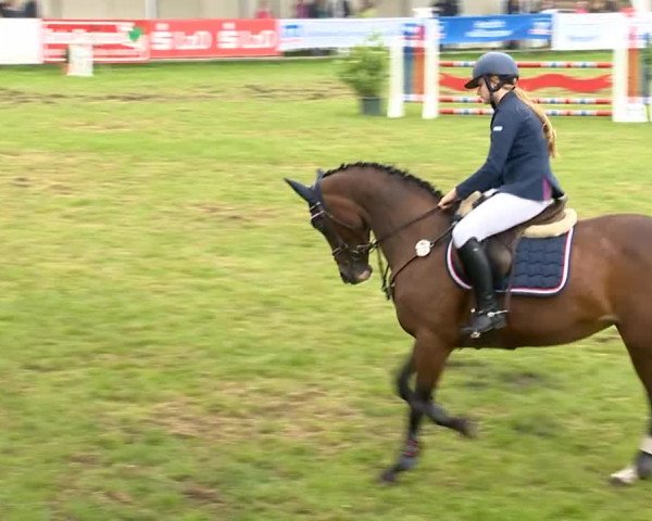 Reitertage Holdorf 2014