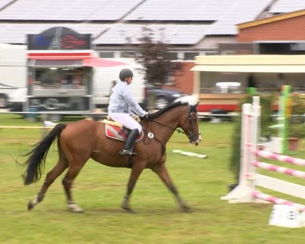 Reitertage Holdorf 2014