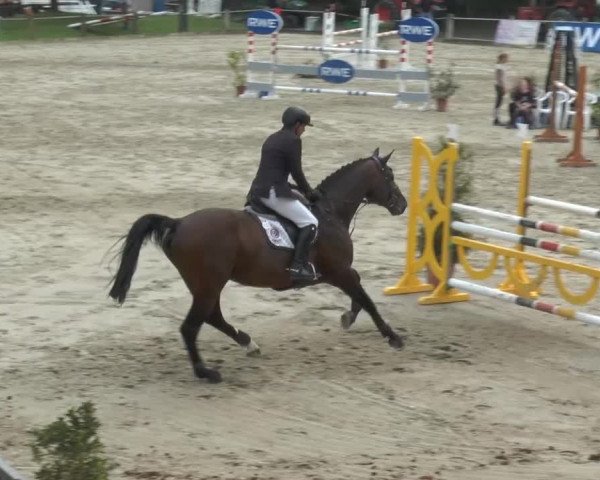 Bad Rothenfelder Reitertage 2014