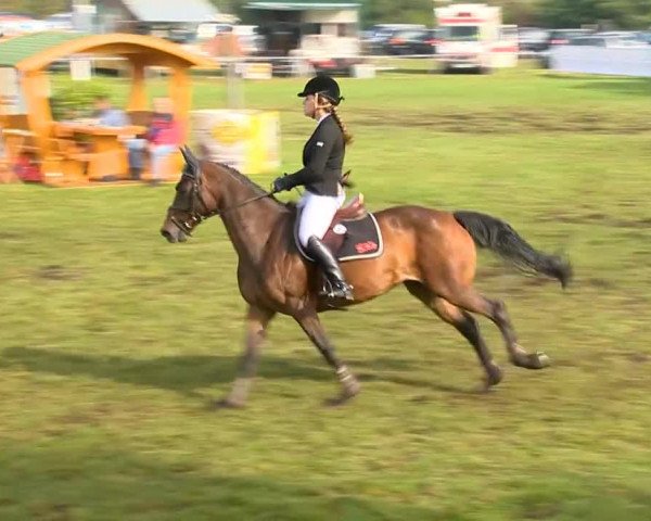 Reitertage Holdorf 2014