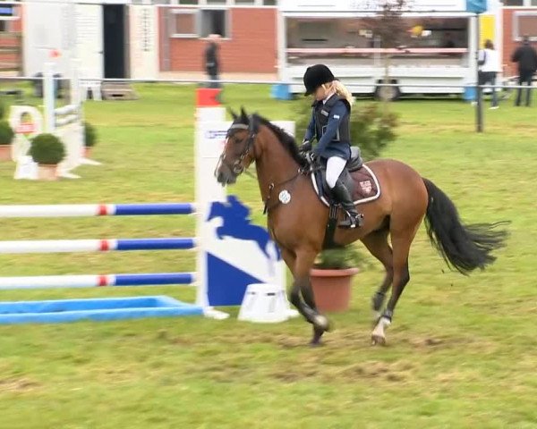 Reitertage Holdorf 2014