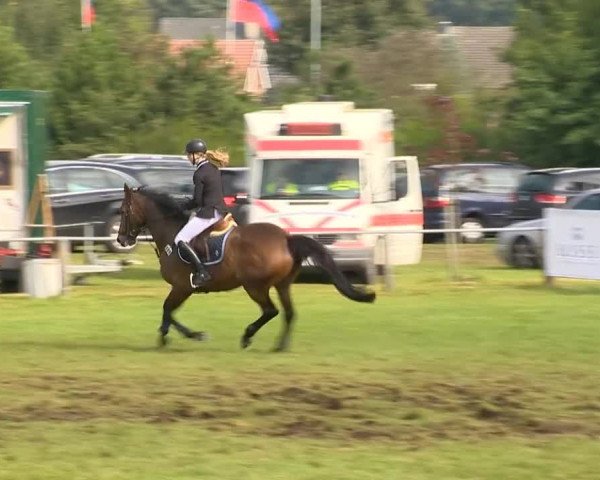 Reitertage Holdorf 2014