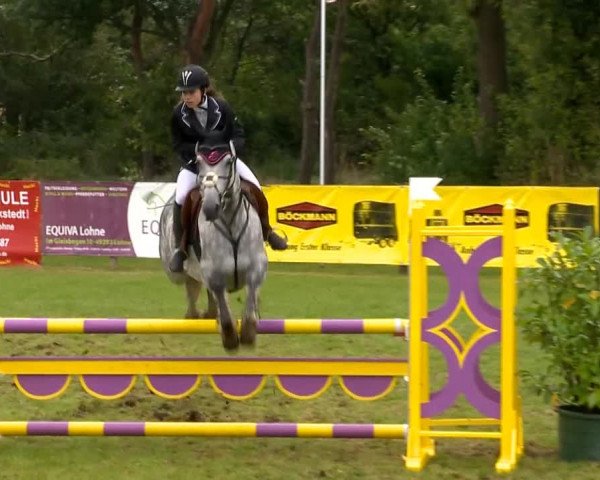 Reitertage Holdorf 2014