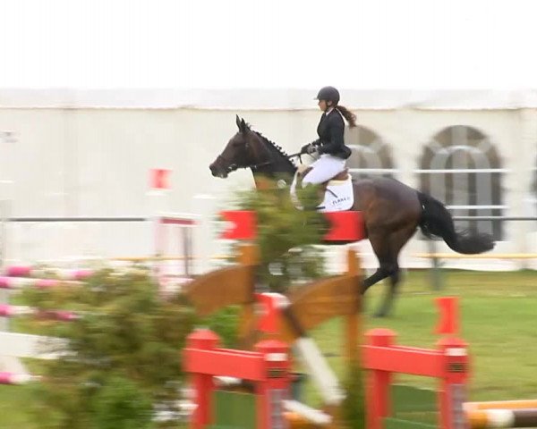 Reitertage Holdorf 2014