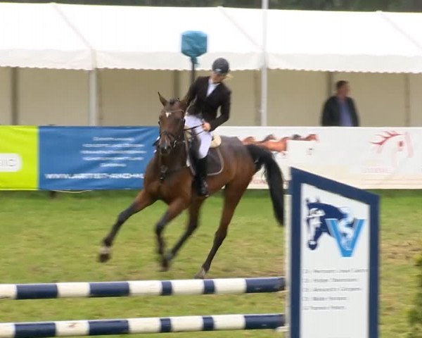 Reitertage Holdorf 2014