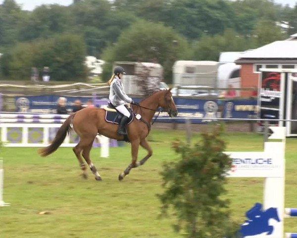 Reitertage Holdorf 2014