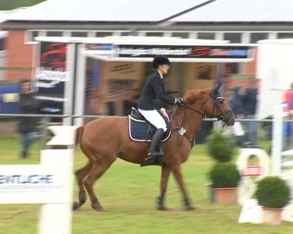 Reitertage Holdorf 2014