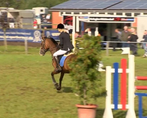 Reitertage Holdorf 2014