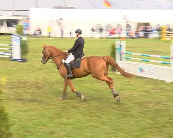Reitertage Holdorf 2014