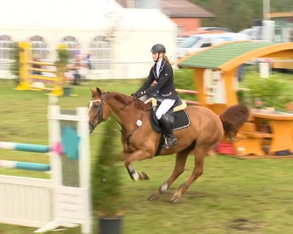 Reitertage Holdorf 2014