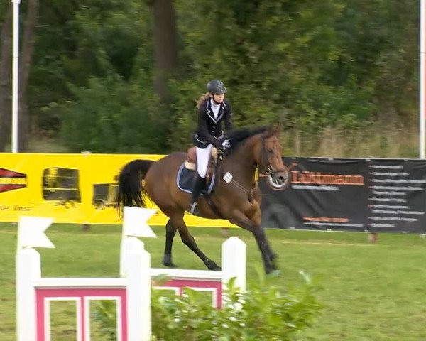 Reitertage Holdorf 2014