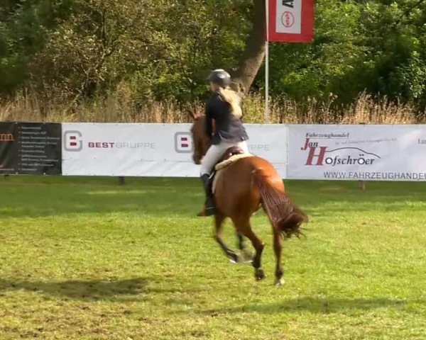 Reitertage Holdorf 2014