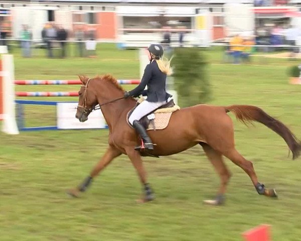 Reitertage Holdorf 2014