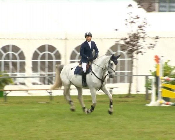Reitertage Holdorf 2014