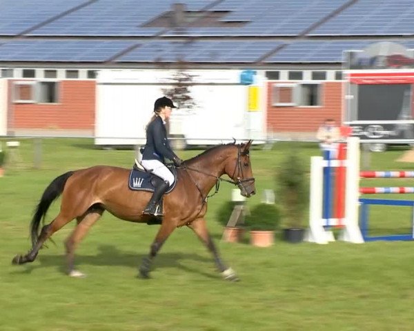 Reitertage Holdorf 2014