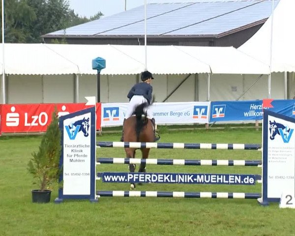 Reitertage Holdorf 2014
