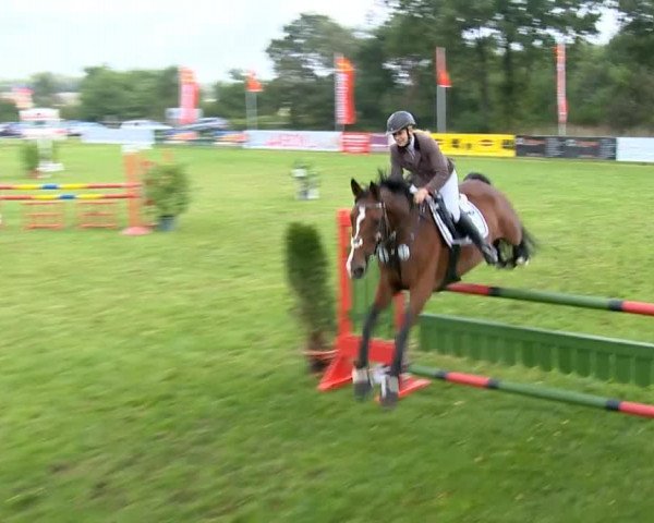Reitertage Holdorf 2014