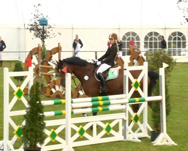 Reitertage Holdorf 2014