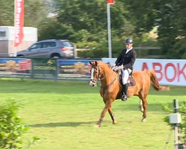 Reitertage Holdorf 2014