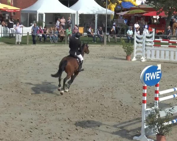 Bad Rothenfelder Reitertage 2014