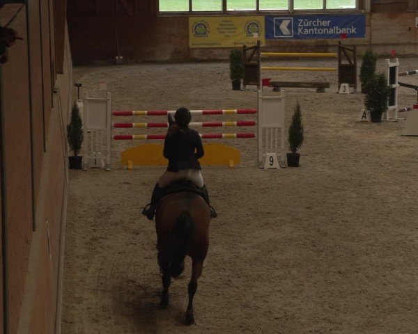 Reitturnier Rüti 2025