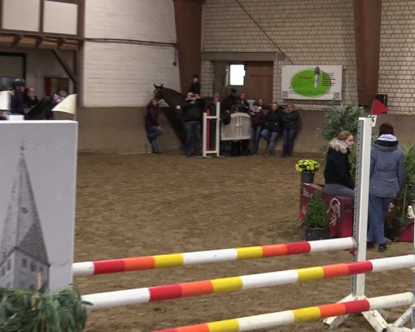 Reitturnier Kamen 2021