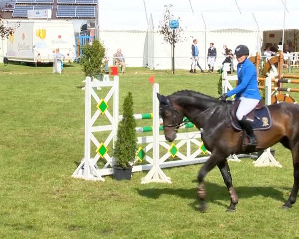 Reitertage Holdorf 2014