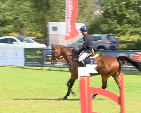 Reitertage Holdorf 2014