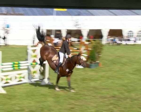 Reitertage Holdorf 2014
