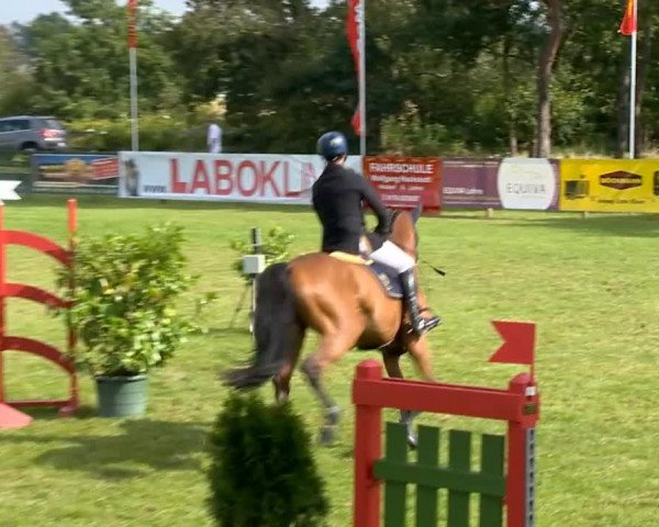 Reitertage Holdorf 2014