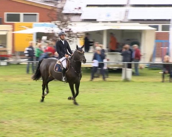 Reitertage Holdorf 2014