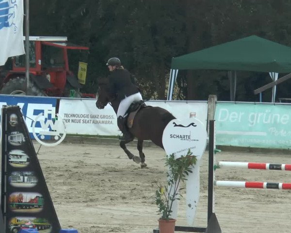 Bad Rothenfelder Reitertage 2014