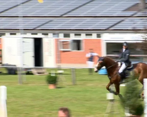 Reitertage Holdorf 2014