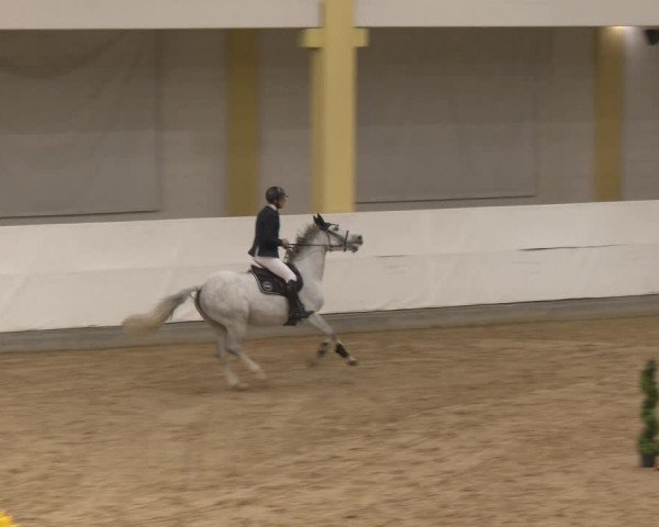 Rideturnering Stadl-Paura 2025